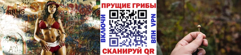 Галлюциногенные грибы MAGIC MUSHROOMS  Лысково 